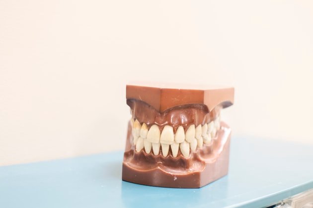 Complete denture model on a clinic worktop